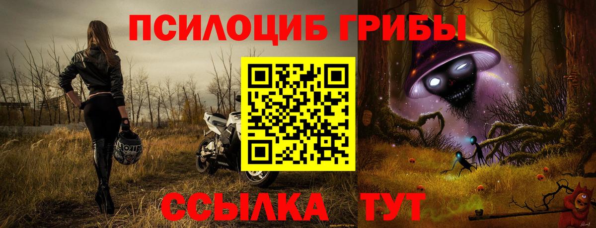 Вологда  Псилоцибиновые грибы MAGIC MUSHROOMS  Вход с VPN 